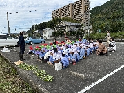 お芋掘り